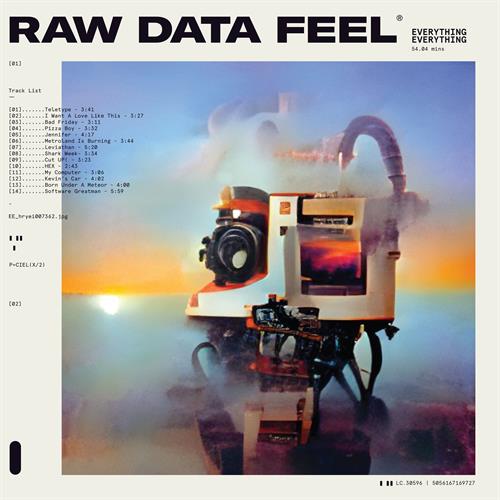 Everything Everything Raw Data Feel - LTD (LP)