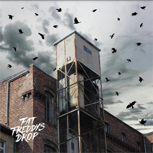 Fat Freddy's Drop Blackbird Returns (2LP) 
