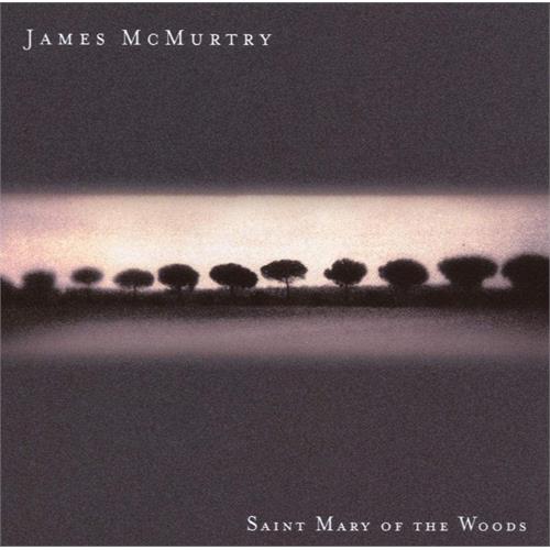James McMurtry Saint Mary Of The Woods (CD)