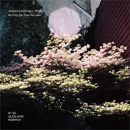 Johan Lindvall Trio No City, No Tree, No Lake (CD)