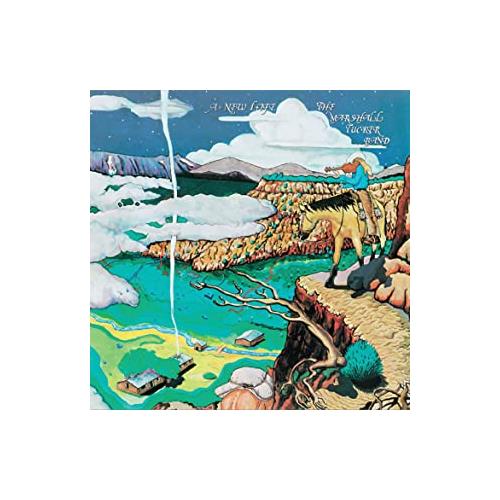 Marshall Tucker Band A New Life (LP) 