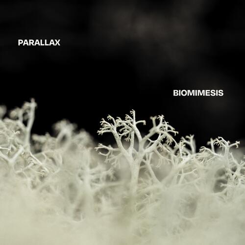 Parallax Biomimesis (LP) 