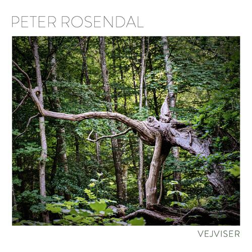 Peter Rosendal Vejviser (LP)