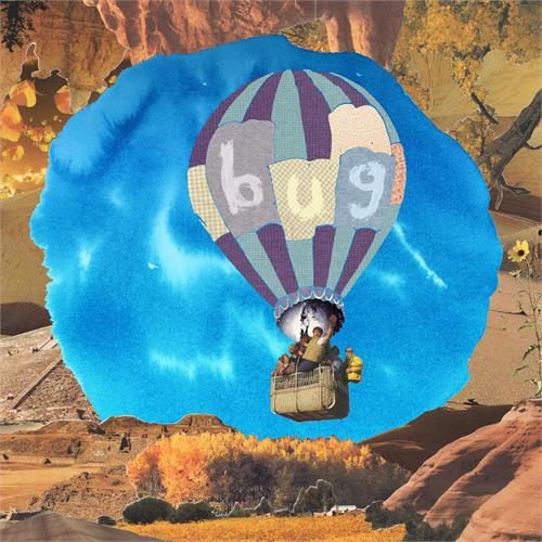 Pictures Of Vernon Bug (LP) 