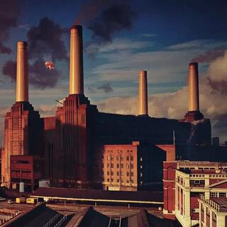 Pink Floyd Animals (CD)