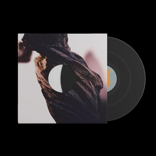 Pixies The Night The Zombies Came (LP) 