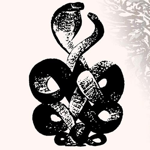 Bardo Pond Volume 4 & 5 (2LP) 