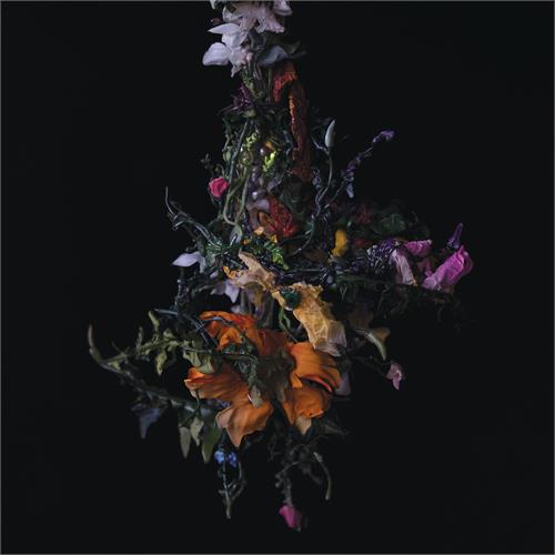 Big|Brave Nature Morte (LP) 