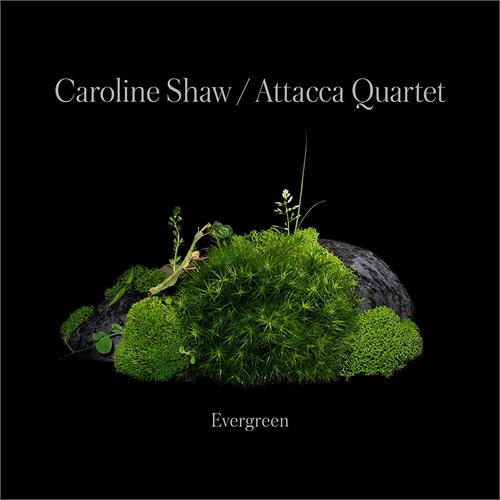 Caroline Shaw & Attacca Quartet Shaw: Evergreen (CD)