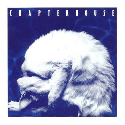 Chapterhouse Whirlpool (CD)