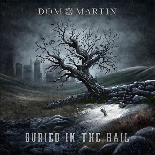Dom Martin Buried In The Hail (LP) 