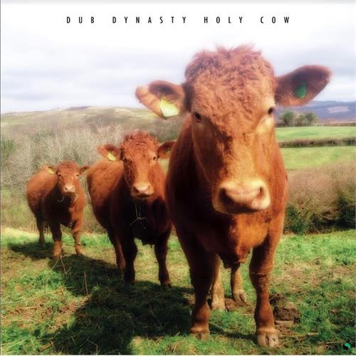Dub Dynasty Holy Cow (LP)