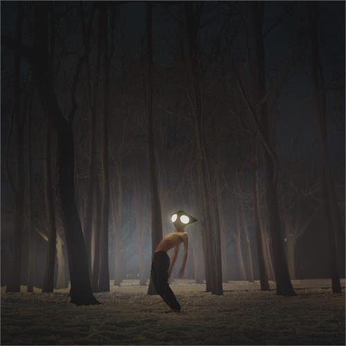 Geese Projector (CD) 