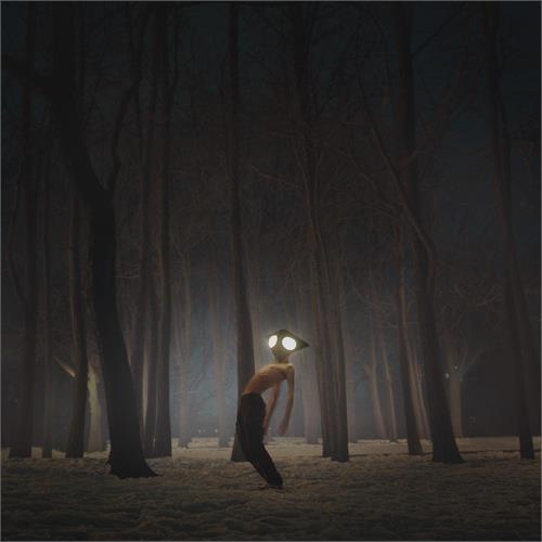 Geese Projector (LP) 