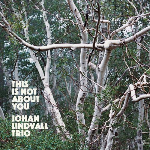 Johan Lindvall Trio This Is Not About You (CD)
