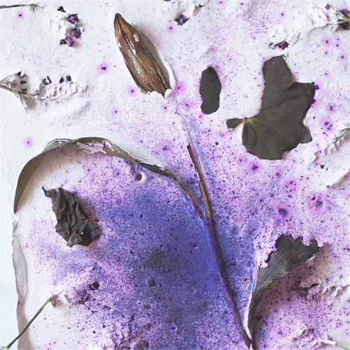 Køs An Uncaught Bird (LP) 