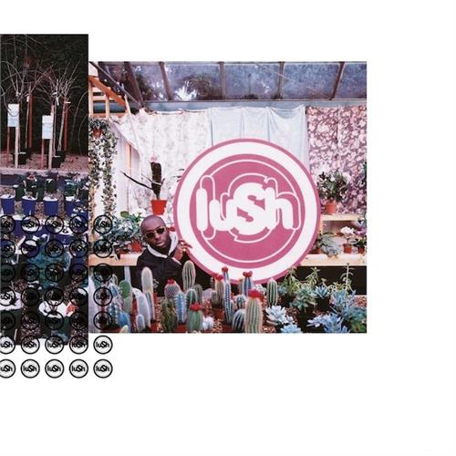 Lush Lovelife - LTD (LP)