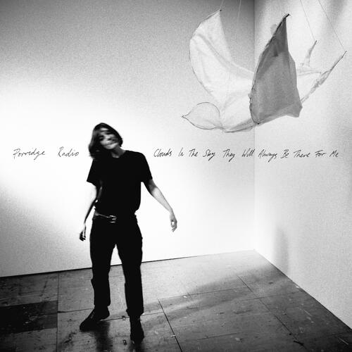 Porridge Radio Clouds In The Sky They Will… - LTD (LP) 