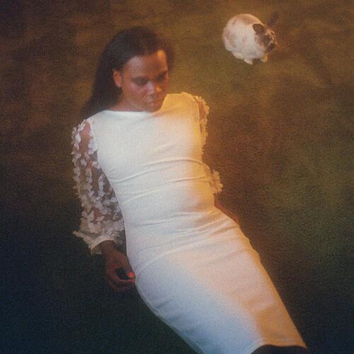 Shamir Ten - LTD (LP) 