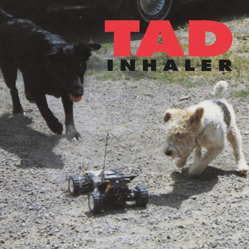 Tad Inhaler (LP) 