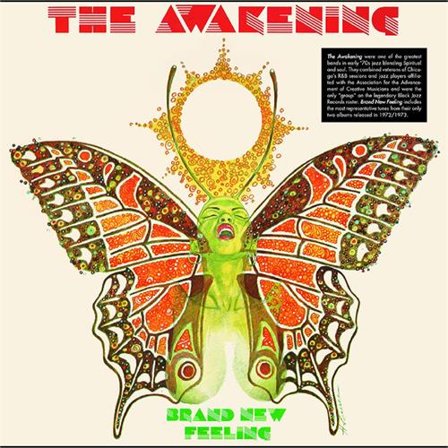 The Awakening Brand New Feeling (LP)