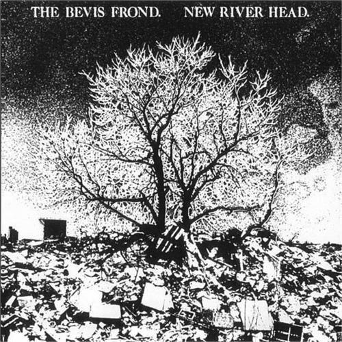 The Bevis Frond New River Head (CD) 