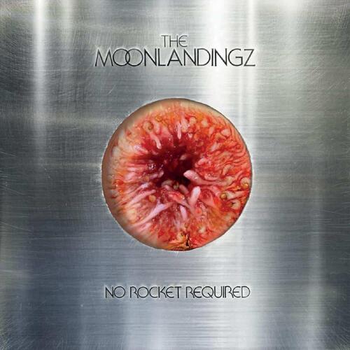The Moonlandingz No Rocket Required (CD) 