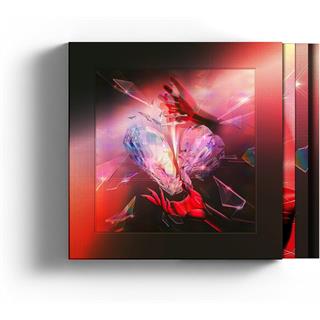 The Rolling Stones Hackney Diamonds - LTD Box Set (CD+BD-A)