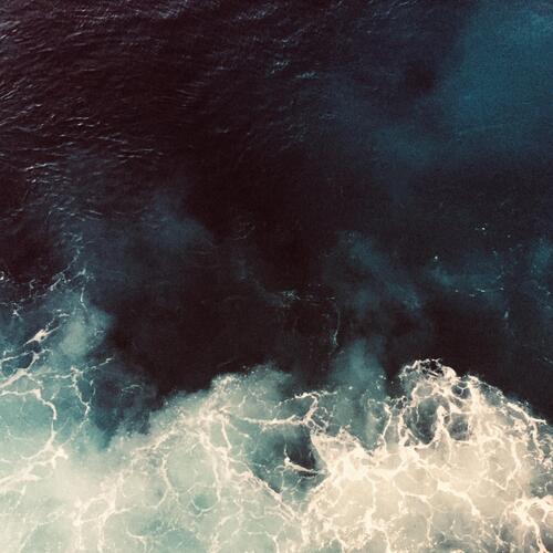 Vilhelm Bromander Jorden Vi Ärvde (CD) 