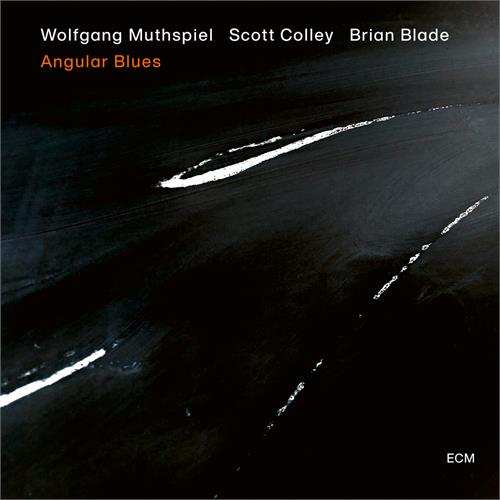 Wolfgang Muthspiel/Scott Colley/Blade Angular Blues (CD)