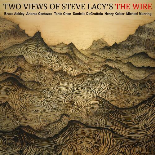 Ackley-Chen-Centazzo-DeGruttola-Kaiser… Two Views Of Steve Lacys The Wire (CD)