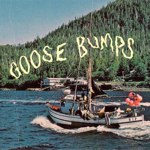 Boyscott Goose Bumps - LTD (LP) 