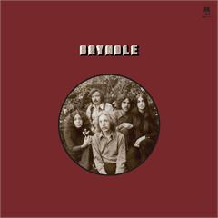 Bryndle Bryndle - LTD (LP)