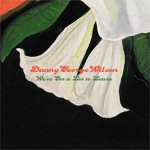 Danny George Wilson We've Got A Lot To Learn (7")