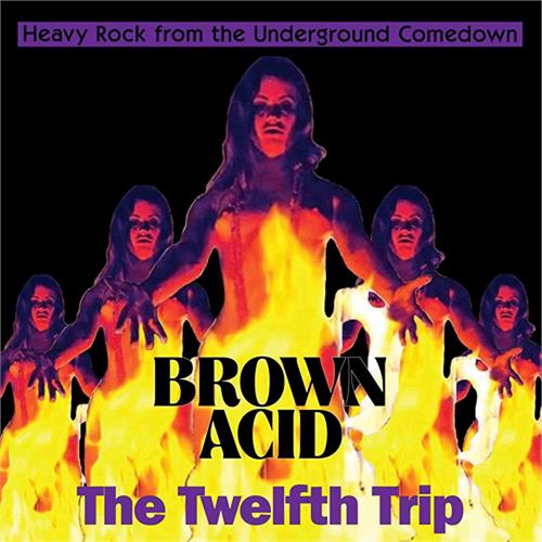 Diverse Artister Brown Acid - The Twelfth Trip (LP)