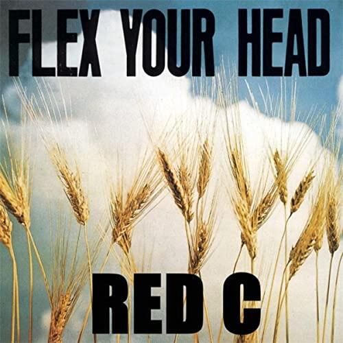 Diverse Artister Flex Your Head (CD) 