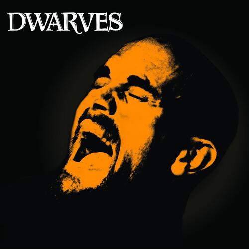 Dwarves Rex Everything (LP) 