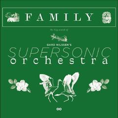 Gard Nilssen's Supersonic Orchestra Family (2LP)