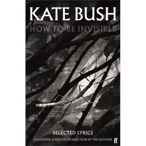 Kate Bush How To Be Invisible (BOK)