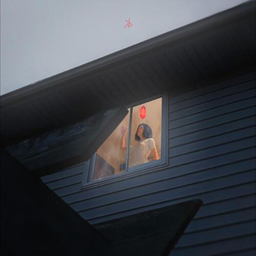 Kills Birds Crave - LTD (12") 