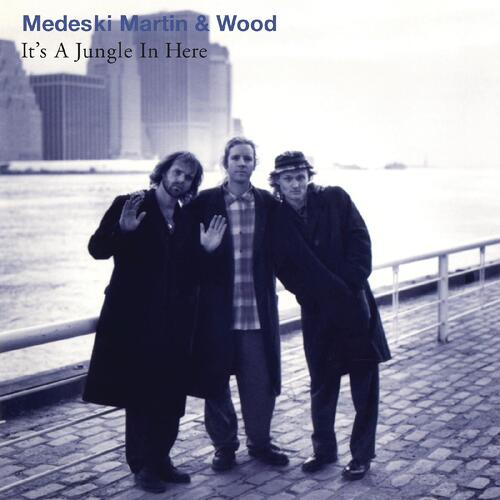 Medeski, Martin & Wood It's A Jungle In Here (LP)