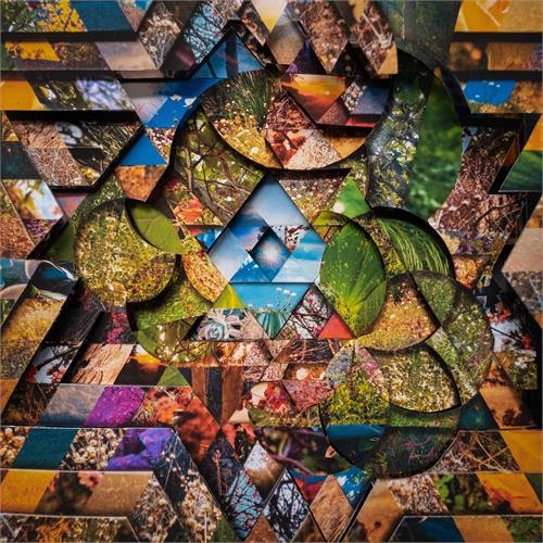 Miguel Atwood-Ferguson Les Jardins Mystiques Vol. 1 (3CD)