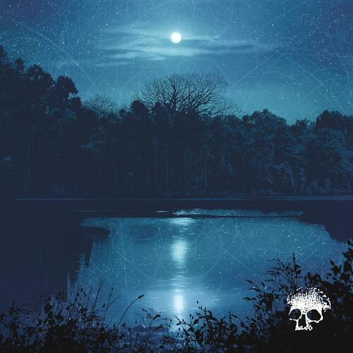 Planes Mistaken For Stars Do You Still Love Me? - LTD (LP) 