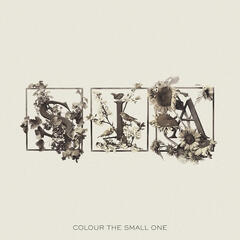 Sia Colour The Small One - RSD (2LP)