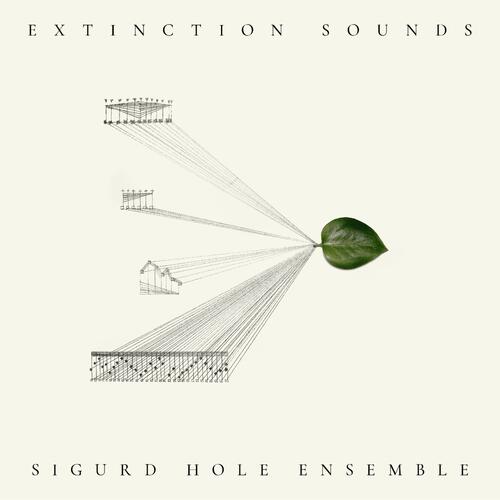 Sigurd Hole Extinction Sounds (LP) 