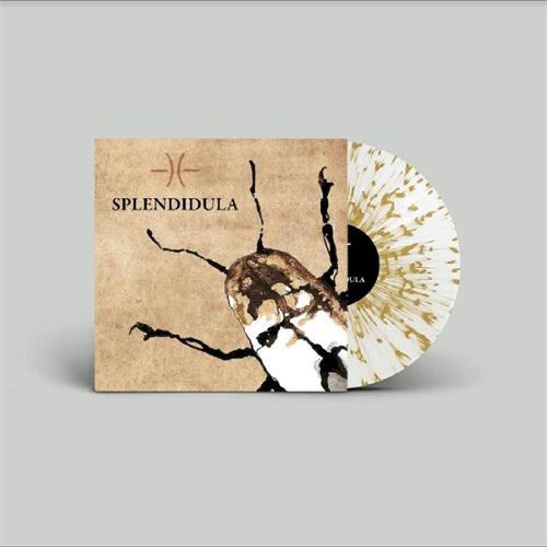 Splendidula Splendidula - LTD (LP)