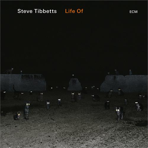 Steve Tibbetts Life Of (CD) 