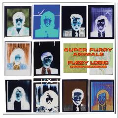 Super Furry Animals Fuzzy Logic (B-Sides &…) - RSD (LP)