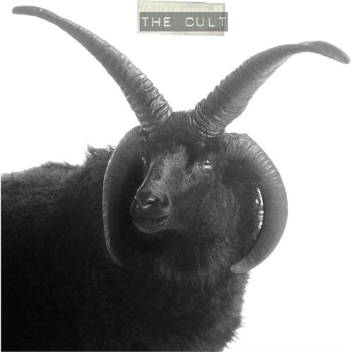 The Cult The Cult - LTD (LP)