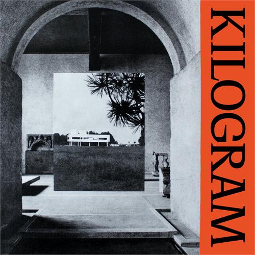 Tvivler Kilogram (LP) 